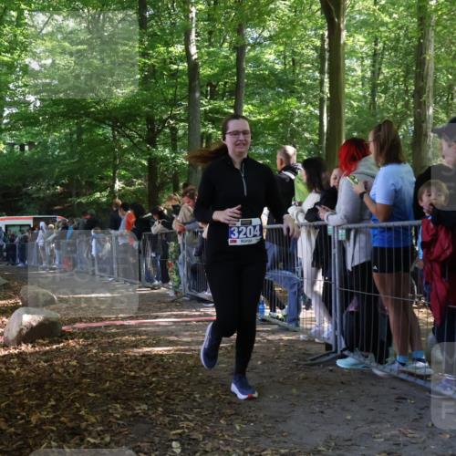28.09.2025 - 33. Volkslauf durch das schöne Alstertal Strokosch-Dieckow http://msf.ph/oto/8967004 28.09.2025 11:37:42 Ziel 1528, 3204 meine-sportfotos.de