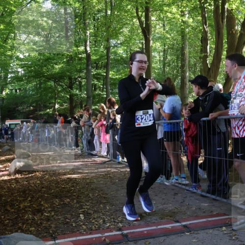 28.09.2025 - 33. Volkslauf durch das schöne Alstertal Strokosch-Dieckow http://msf.ph/oto/8967005 28.09.2025 11:37:42 Ziel 1528, 3204 meine-sportfotos.de