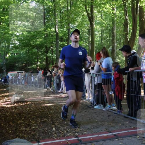 28.09.2025 - 33. Volkslauf durch das schöne Alstertal Strokosch-Dieckow http://msf.ph/oto/8967011 28.09.2025 11:37:48 Ziel 1528 meine-sportfotos.de