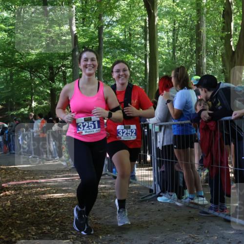 28.09.2025 - 33. Volkslauf durch das schöne Alstertal Strokosch-Dieckow http://msf.ph/oto/8967019 28.09.2025 11:38:00 Ziel 1537, 1627, 1628, 3123, 3130, 3251, 3252 meine-sportfotos.de