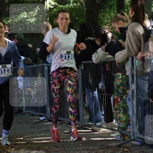 28.09.2025 - 33. Volkslauf durch das schöne Alstertal Strokosch-Dieckow http://msf.ph/oto/8967021 28.09.2025 11:38:06 Ziel 1537, 1627, 1628, 3123, 3130, 3958 meine-sportfotos.de
