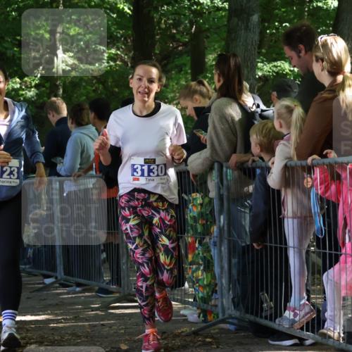28.09.2025 - 33. Volkslauf durch das schöne Alstertal Strokosch-Dieckow http://msf.ph/oto/8967022 28.09.2025 11:38:07 Ziel 1537, 1627, 1628, 3123, 3130, 3320, 3958 meine-sportfotos.de