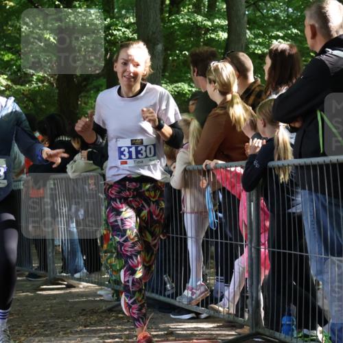 28.09.2025 - 33. Volkslauf durch das schöne Alstertal Strokosch-Dieckow http://msf.ph/oto/8967023 28.09.2025 11:38:07 Ziel 1537, 1627, 1628, 3123, 3130, 3320, 3958 meine-sportfotos.de