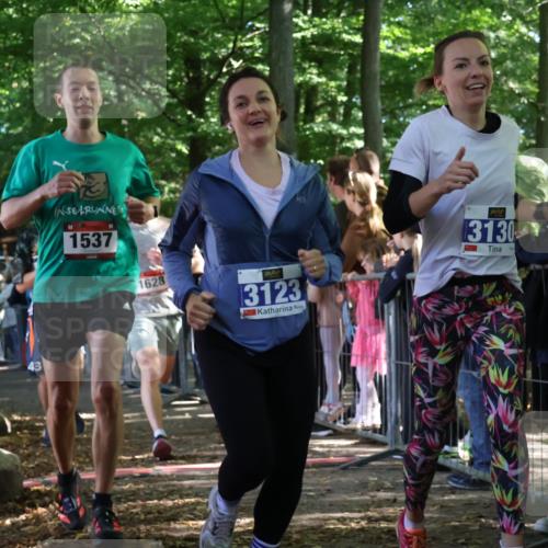 28.09.2025 - 33. Volkslauf durch das schöne Alstertal Strokosch-Dieckow http://msf.ph/oto/8967025 28.09.2025 11:38:08 Ziel 1537, 1627, 1628, 3123, 3130, 3320, 3958 meine-sportfotos.de