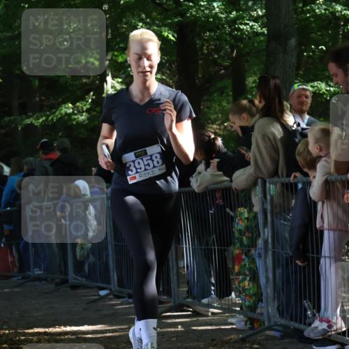 28.09.2025 - 33. Volkslauf durch das schöne Alstertal Strokosch-Dieckow http://msf.ph/oto/8967030 28.09.2025 11:38:12 Ziel 2626, 3056, 3320, 3958 meine-sportfotos.de