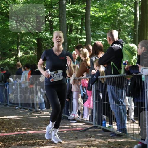 28.09.2025 - 33. Volkslauf durch das schöne Alstertal Strokosch-Dieckow http://msf.ph/oto/8967031 28.09.2025 11:38:12 Ziel 2626, 3056, 3320, 3958 meine-sportfotos.de