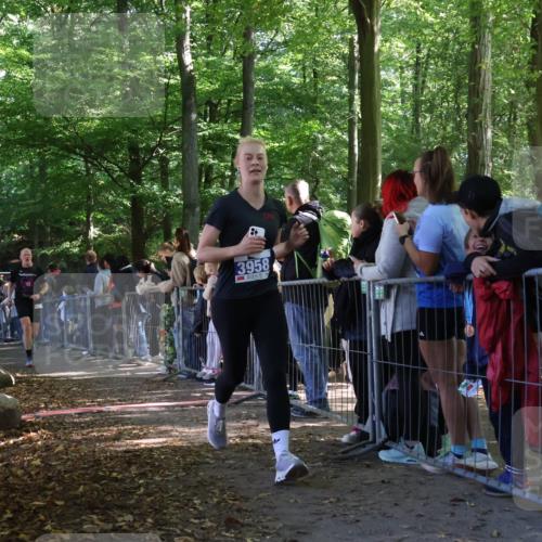 28.09.2025 - 33. Volkslauf durch das schöne Alstertal Strokosch-Dieckow http://msf.ph/oto/8967032 28.09.2025 11:38:13 Ziel 2626, 3056, 3320, 3958 meine-sportfotos.de
