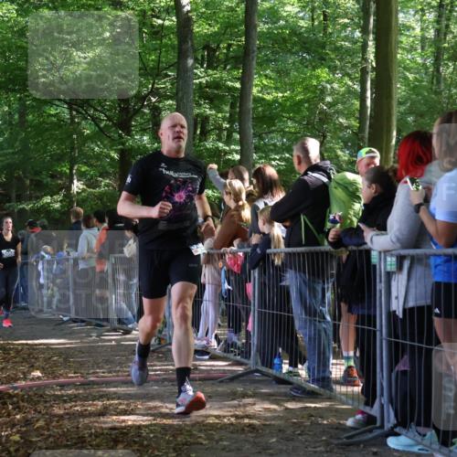 28.09.2025 - 33. Volkslauf durch das schöne Alstertal Strokosch-Dieckow http://msf.ph/oto/8967035 28.09.2025 11:38:16 Ziel 2626, 3056, 3214, 3228, 3320 meine-sportfotos.de