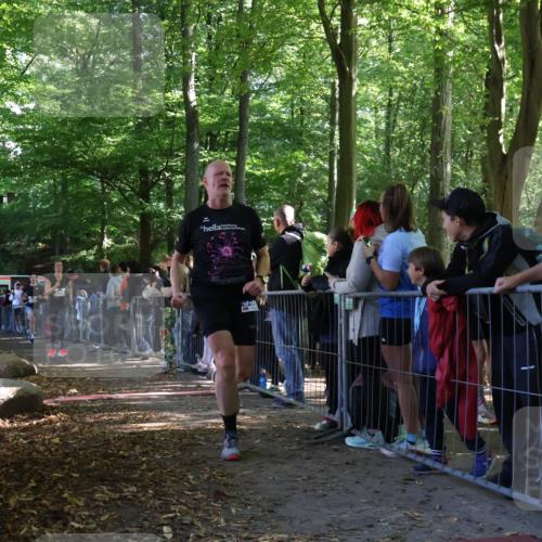 28.09.2025 - 33. Volkslauf durch das schöne Alstertal Strokosch-Dieckow http://msf.ph/oto/8967036 28.09.2025 11:38:16 Ziel 2626, 3056, 3214, 3228, 3320 meine-sportfotos.de