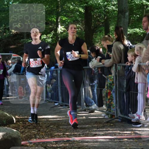 28.09.2025 - 33. Volkslauf durch das schöne Alstertal Strokosch-Dieckow http://msf.ph/oto/8967039 28.09.2025 11:38:18 Ziel 2626, 3056, 3214, 3228 meine-sportfotos.de
