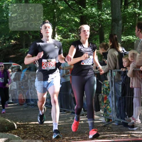 28.09.2025 - 33. Volkslauf durch das schöne Alstertal Strokosch-Dieckow http://msf.ph/oto/8967040 28.09.2025 11:38:18 Ziel 2626, 3056, 3214, 3228 meine-sportfotos.de