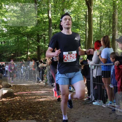 28.09.2025 - 33. Volkslauf durch das schöne Alstertal Strokosch-Dieckow http://msf.ph/oto/8967042 28.09.2025 11:38:19 Ziel 2626, 3056, 3214, 3228 meine-sportfotos.de
