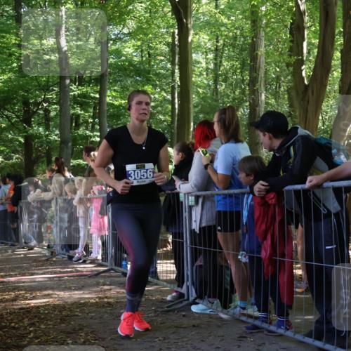 28.09.2025 - 33. Volkslauf durch das schöne Alstertal Strokosch-Dieckow http://msf.ph/oto/8967043 28.09.2025 11:38:20 Ziel 2626, 3056, 3150, 3214, 3228 meine-sportfotos.de