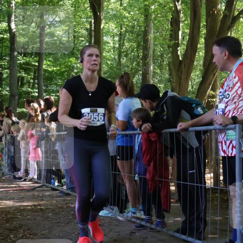 28.09.2025 - 33. Volkslauf durch das schöne Alstertal Strokosch-Dieckow http://msf.ph/oto/8967044 28.09.2025 11:38:20 Ziel 2626, 3056, 3150, 3214, 3228 meine-sportfotos.de