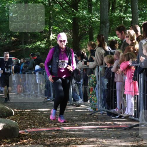 28.09.2025 - 33. Volkslauf durch das schöne Alstertal Strokosch-Dieckow http://msf.ph/oto/8967046 28.09.2025 11:38:22 Ziel 3150, 3214, 3228 meine-sportfotos.de