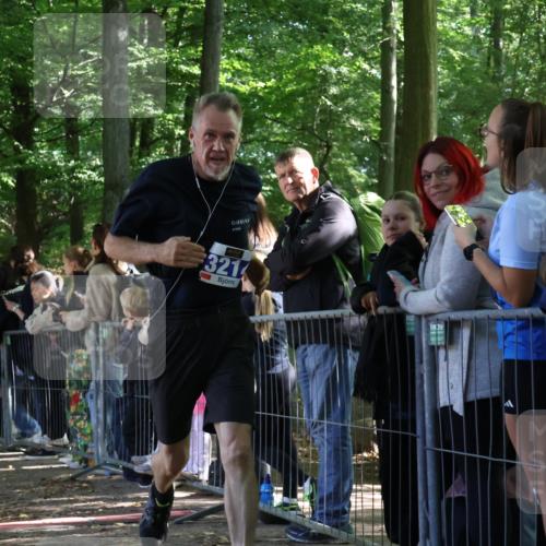 28.09.2025 - 33. Volkslauf durch das schöne Alstertal Strokosch-Dieckow http://msf.ph/oto/8967054 28.09.2025 11:38:25 Ziel 3150, 3214, 3951 meine-sportfotos.de