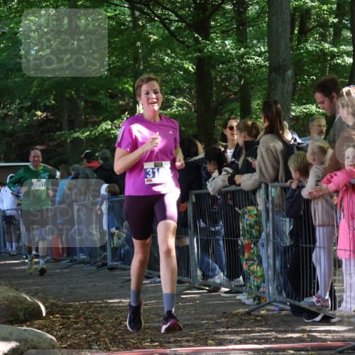 28.09.2025 - 33. Volkslauf durch das schöne Alstertal Strokosch-Dieckow http://msf.ph/oto/8967058 28.09.2025 11:38:28 Ziel 1557, 3150, 3951 meine-sportfotos.de