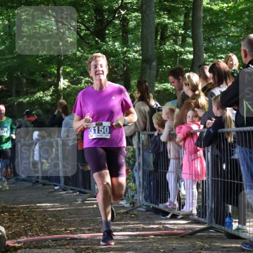 28.09.2025 - 33. Volkslauf durch das schöne Alstertal Strokosch-Dieckow http://msf.ph/oto/8967059 28.09.2025 11:38:29 Ziel 1557, 3150, 3951 meine-sportfotos.de