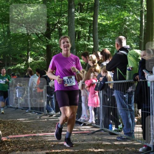 28.09.2025 - 33. Volkslauf durch das schöne Alstertal Strokosch-Dieckow http://msf.ph/oto/8967060 28.09.2025 11:38:29 Ziel 1557, 3150, 3951 meine-sportfotos.de