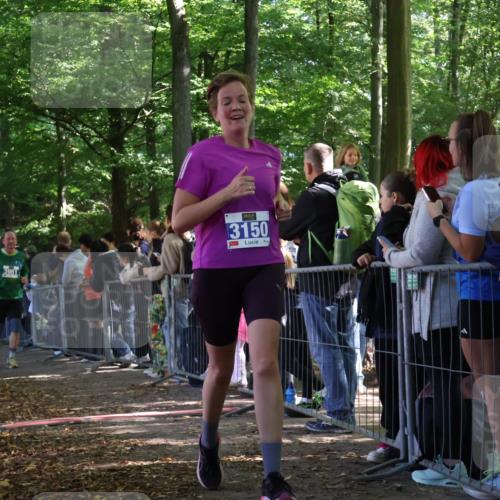 28.09.2025 - 33. Volkslauf durch das schöne Alstertal Strokosch-Dieckow http://msf.ph/oto/8967061 28.09.2025 11:38:30 Ziel 1557, 3150, 3154, 3350, 3951, 3952 meine-sportfotos.de