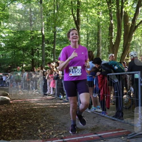 28.09.2025 - 33. Volkslauf durch das schöne Alstertal Strokosch-Dieckow http://msf.ph/oto/8967062 28.09.2025 11:38:30 Ziel 1557, 3150, 3154, 3350, 3951, 3952 meine-sportfotos.de