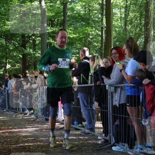 28.09.2025 - 33. Volkslauf durch das schöne Alstertal Strokosch-Dieckow http://msf.ph/oto/8967067 28.09.2025 11:38:33 Ziel 1557, 3154, 3350, 3951, 3952 meine-sportfotos.de