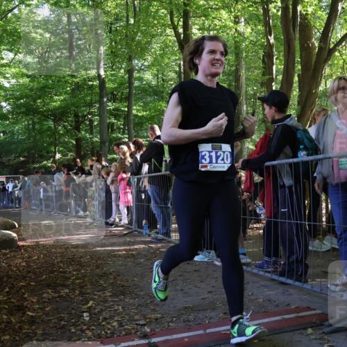 28.09.2025 - 33. Volkslauf durch das schöne Alstertal Strokosch-Dieckow http://msf.ph/oto/8967086 28.09.2025 11:38:44 Ziel 3120 meine-sportfotos.de
