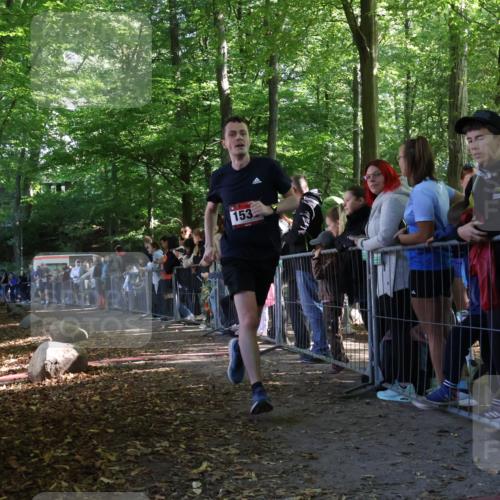 28.09.2025 - 33. Volkslauf durch das schöne Alstertal Strokosch-Dieckow http://msf.ph/oto/8967090 28.09.2025 11:38:55 Ziel 1539, 1549, 3072 meine-sportfotos.de