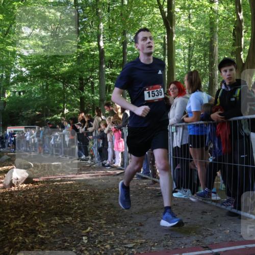 28.09.2025 - 33. Volkslauf durch das schöne Alstertal Strokosch-Dieckow http://msf.ph/oto/8967091 28.09.2025 11:38:55 Ziel 1539, 1549, 3072 meine-sportfotos.de