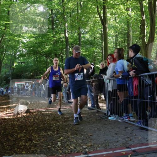 28.09.2025 - 33. Volkslauf durch das schöne Alstertal Strokosch-Dieckow http://msf.ph/oto/8967099 28.09.2025 11:39:04 Ziel 1549, 3072 meine-sportfotos.de
