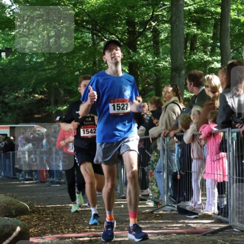 28.09.2025 - 33. Volkslauf durch das schöne Alstertal Strokosch-Dieckow http://msf.ph/oto/8967109 28.09.2025 11:39:19 Ziel 1522, 1527, 1542, 1554, 1768, 3127, 3128 meine-sportfotos.de