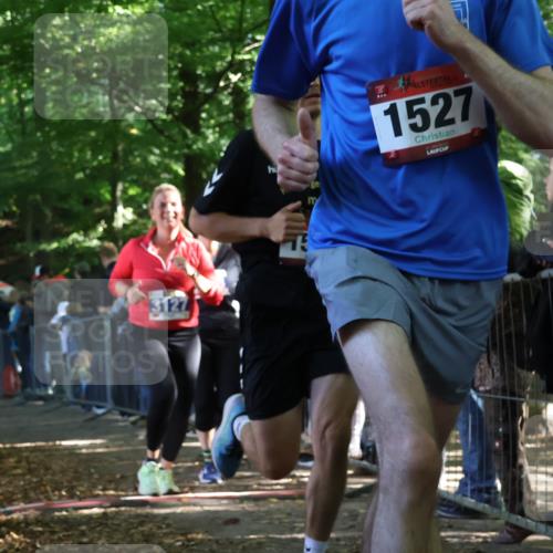 28.09.2025 - 33. Volkslauf durch das schöne Alstertal Strokosch-Dieckow http://msf.ph/oto/8967112 28.09.2025 11:39:20 Ziel 1527, 1542, 1554, 1768, 3127, 3128 meine-sportfotos.de