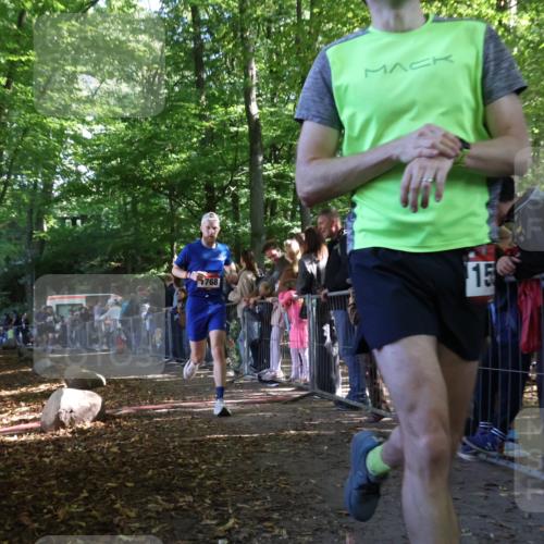 28.09.2025 - 33. Volkslauf durch das schöne Alstertal Strokosch-Dieckow http://msf.ph/oto/8967122 28.09.2025 11:39:24 Ziel 1554, 1768, 3170, 3221 meine-sportfotos.de