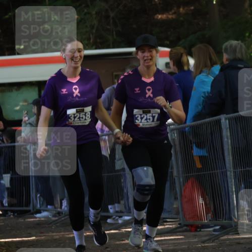28.09.2025 - 33. Volkslauf durch das schöne Alstertal Strokosch-Dieckow http://msf.ph/oto/8967144 28.09.2025 11:39:54 Ziel 1767, 3257, 3258 meine-sportfotos.de