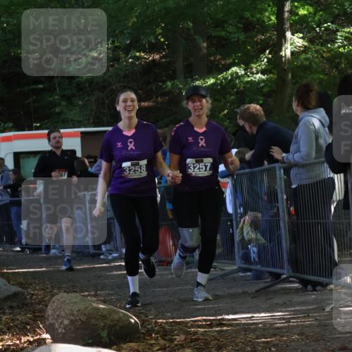 28.09.2025 - 33. Volkslauf durch das schöne Alstertal Strokosch-Dieckow http://msf.ph/oto/8967145 28.09.2025 11:39:55 Ziel 1767, 3257, 3258 meine-sportfotos.de