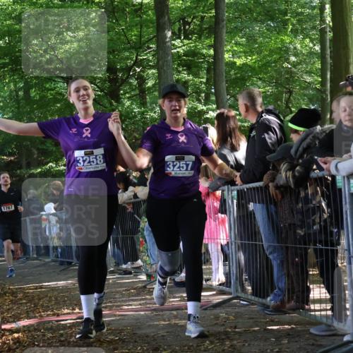 28.09.2025 - 33. Volkslauf durch das schöne Alstertal Strokosch-Dieckow http://msf.ph/oto/8967149 28.09.2025 11:39:58 Ziel 1767, 3146, 3257, 3258, 3277, 3399 meine-sportfotos.de