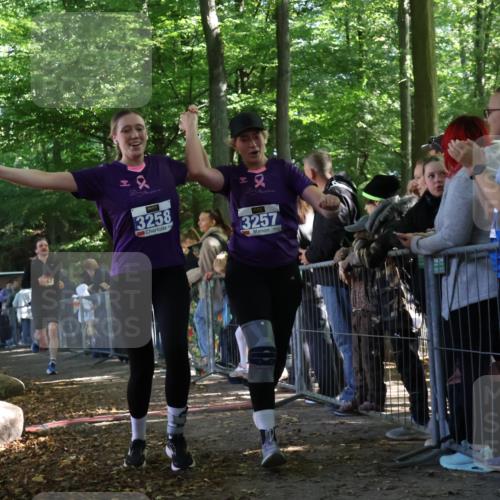 28.09.2025 - 33. Volkslauf durch das schöne Alstertal Strokosch-Dieckow http://msf.ph/oto/8967150 28.09.2025 11:39:58 Ziel 1767, 3146, 3257, 3258, 3277, 3399 meine-sportfotos.de