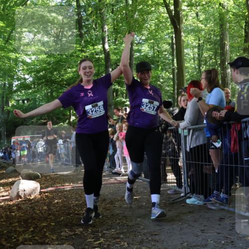 28.09.2025 - 33. Volkslauf durch das schöne Alstertal Strokosch-Dieckow http://msf.ph/oto/8967151 28.09.2025 11:39:59 Ziel 1550, 1767, 3146, 3257, 3258, 3277, 3399 meine-sportfotos.de