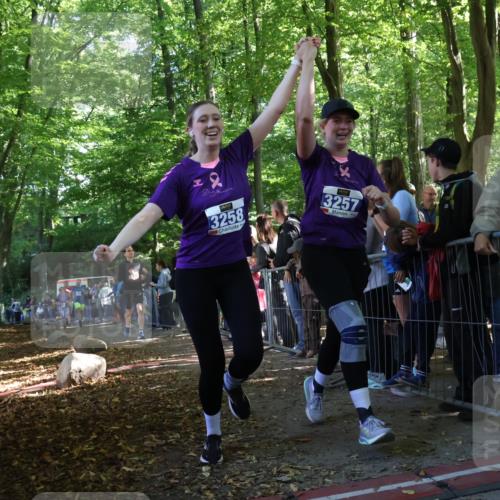 28.09.2025 - 33. Volkslauf durch das schöne Alstertal Strokosch-Dieckow http://msf.ph/oto/8967152 28.09.2025 11:39:59 Ziel 1550, 1767, 3146, 3257, 3258, 3277, 3399 meine-sportfotos.de