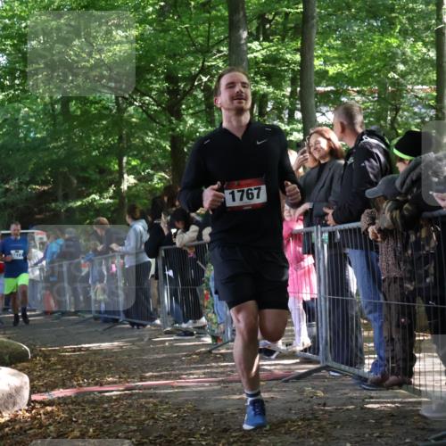 28.09.2025 - 33. Volkslauf durch das schöne Alstertal Strokosch-Dieckow http://msf.ph/oto/8967155 28.09.2025 11:40:01 Ziel 1550, 1767, 3146, 3277, 3399 meine-sportfotos.de