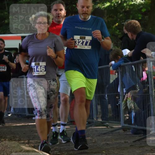 28.09.2025 - 33. Volkslauf durch das schöne Alstertal Strokosch-Dieckow http://msf.ph/oto/8967158 28.09.2025 11:40:03 Ziel 1550, 3146, 3277, 3399 meine-sportfotos.de