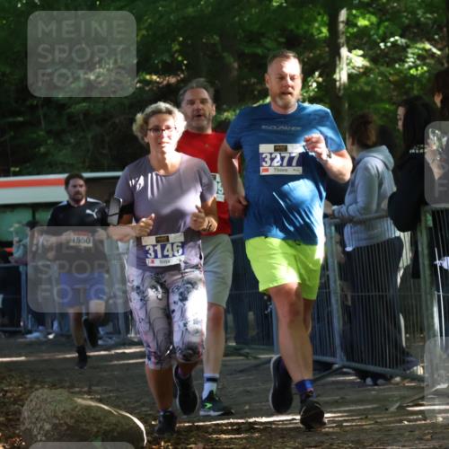 28.09.2025 - 33. Volkslauf durch das schöne Alstertal Strokosch-Dieckow http://msf.ph/oto/8967159 28.09.2025 11:40:04 Ziel 1550, 3146, 3277, 3399 meine-sportfotos.de