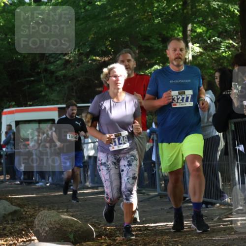 28.09.2025 - 33. Volkslauf durch das schöne Alstertal Strokosch-Dieckow http://msf.ph/oto/8967160 28.09.2025 11:40:04 Ziel 1550, 3146, 3277, 3399 meine-sportfotos.de