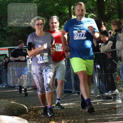 28.09.2025 - 33. Volkslauf durch das schöne Alstertal Strokosch-Dieckow http://msf.ph/oto/8967161 28.09.2025 11:40:05 Ziel 1550, 3146, 3277, 3399 meine-sportfotos.de