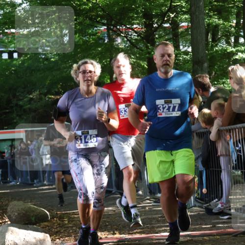 28.09.2025 - 33. Volkslauf durch das schöne Alstertal Strokosch-Dieckow http://msf.ph/oto/8967162 28.09.2025 11:40:06 Ziel 1550, 3146, 3277, 3399 meine-sportfotos.de
