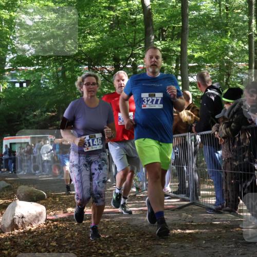 28.09.2025 - 33. Volkslauf durch das schöne Alstertal Strokosch-Dieckow http://msf.ph/oto/8967163 28.09.2025 11:40:06 Ziel 1550, 3146, 3277, 3399 meine-sportfotos.de