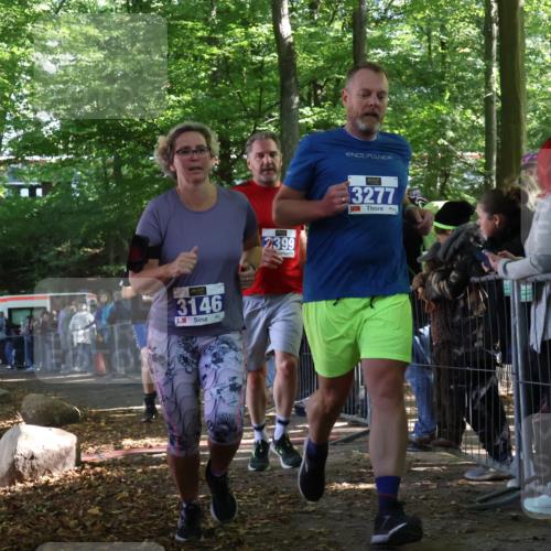 28.09.2025 - 33. Volkslauf durch das schöne Alstertal Strokosch-Dieckow http://msf.ph/oto/8967164 28.09.2025 11:40:07 Ziel 1550, 3146, 3277, 3399 meine-sportfotos.de