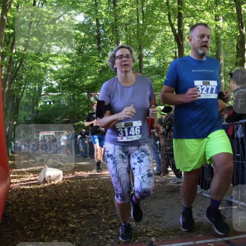 28.09.2025 - 33. Volkslauf durch das schöne Alstertal Strokosch-Dieckow http://msf.ph/oto/8967166 28.09.2025 11:40:08 Ziel 1550, 3399 meine-sportfotos.de