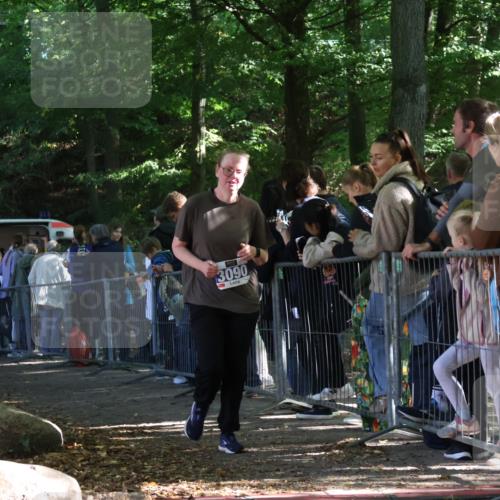 28.09.2025 - 33. Volkslauf durch das schöne Alstertal Strokosch-Dieckow http://msf.ph/oto/8967176 28.09.2025 11:40:25 Ziel 1005, 3090 meine-sportfotos.de