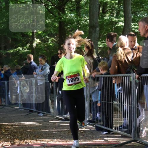 28.09.2025 - 33. Volkslauf durch das schöne Alstertal Strokosch-Dieckow http://msf.ph/oto/8967185 28.09.2025 11:40:30 Ziel 1005, 3243, 3259 meine-sportfotos.de